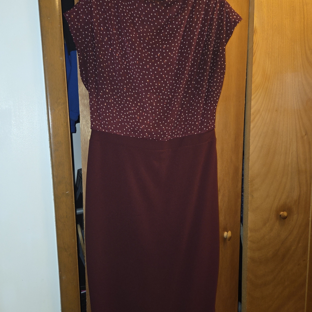 Express Wine Sheath Dress with Dolman Cap Sleeves